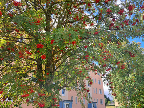 Blick zum Eingang Funckstraße 42