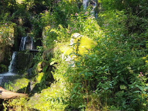 Blauenthaler Wasserfall_Foto Tourist-Service-Cente