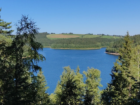 Talsperre Eibenstock_Blick nach Hundshübel_Foto To