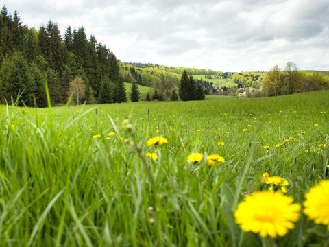 Im Tal der Wilden Weißeritz