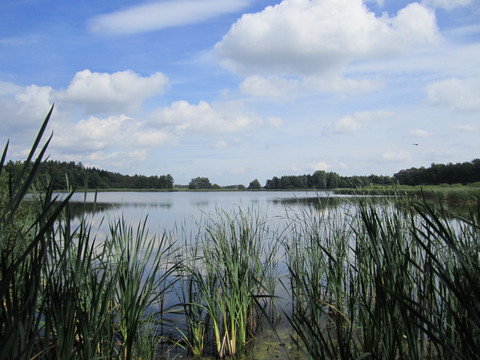 Burgteich bei Kürbitz