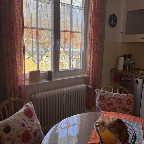 Küche mit Ausblick in den Garten