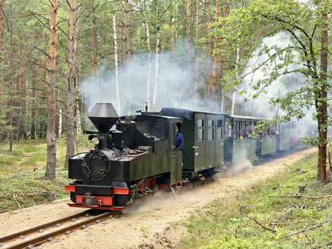 Dampflok durch den Wald