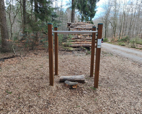 Parallel - Barren 1.jpg