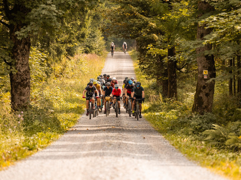 Radfahren Erzgebirge