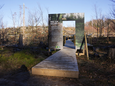 73 25 Kompass Natur Reihe 2_Folge 5_Weg zur Ruhe (4).jpg