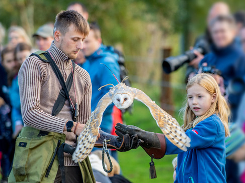 Falkner-Flugshow 1 ® Franz Frieling.jpg