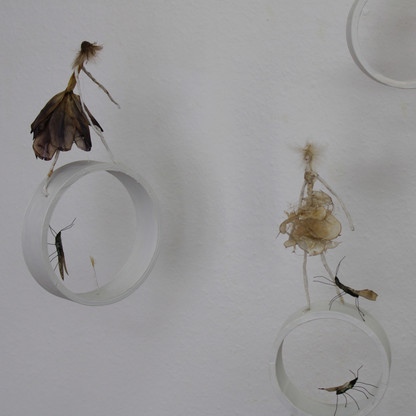 Ingrid_Mohr_Installation_Detail.jpg