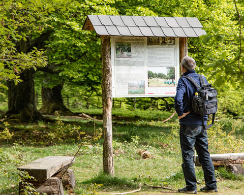 Wanderer am Infoschild im Halloh