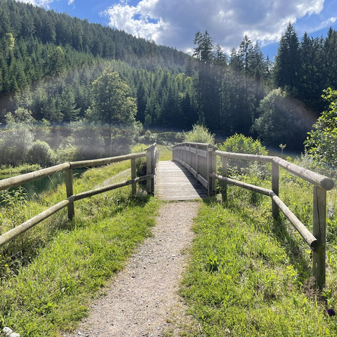 Bruecke_Reichenbachtal