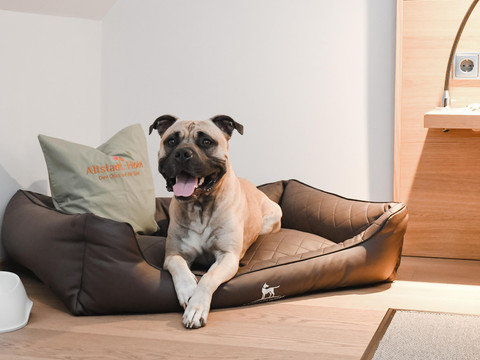 14.ZimmerMitHund_Altstadthotel_16.07.2025_20