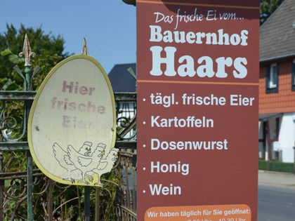 Hofladen_Haars_HD_16zu9.JPG Ein braunes Schild vor einem Hoftor bewirbt frische Eier, Kartoffeln und Honig vom Bauernhof Haars.