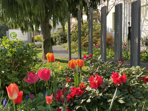 Hotelzuweg-hotel-eikamper-hoehe