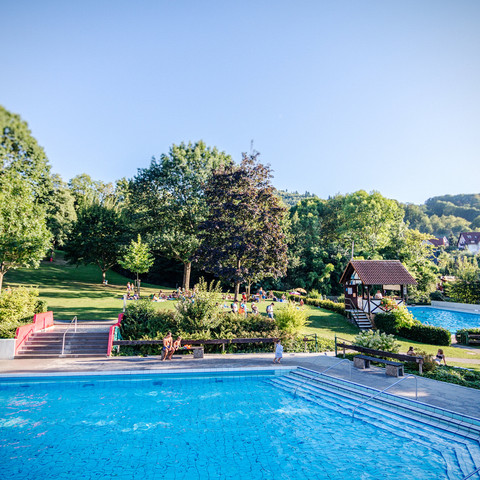 Erlebnisfreibad Sasbachwalden Schwimmbecken Erlebnisfreibad Sasbachwalden Schwimmbecken