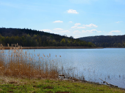 Reihersee_HD_16zu9.JPG Blauer See mit Schilf am Ufer, umgeben von bewaldeten Hügeln unter leicht bewölktem Himmel.