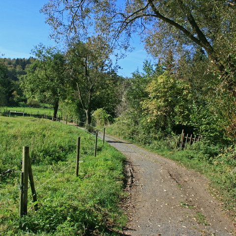 Rosenauwiesen-Buschhofweg