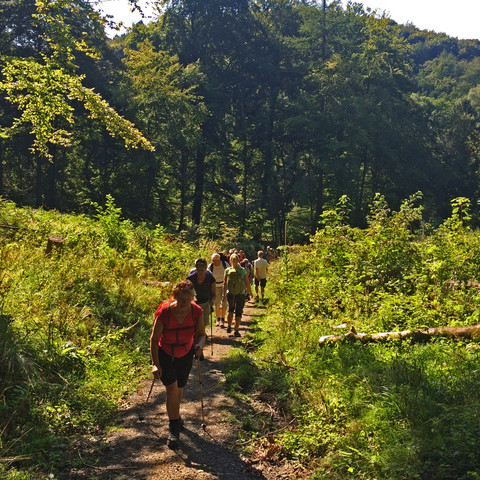 Aufstieg-Nonnenstromberg