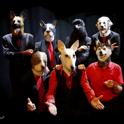 Shaggy Dogs 2025 - Copyright Olivier GIRARD.jpg