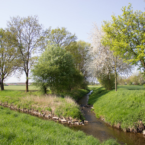 Swisttal -Swistbach