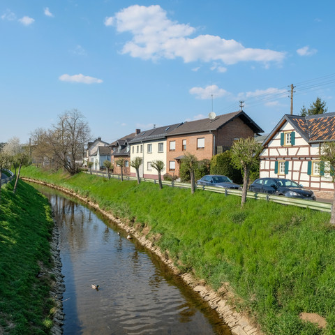Swist, Swisttal 2020 Frühling Swisttal