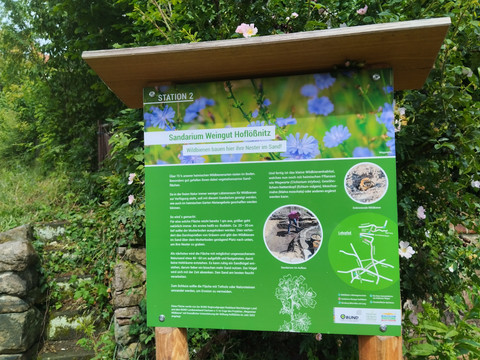 Wildbienen-Lehrpfad Station 2: Sandarium