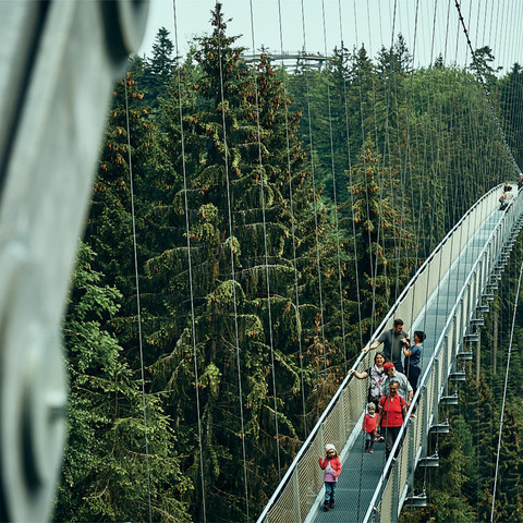 Wildline Haengebruecke Bad Wildbad Besucher Wildline Haengebruecke Bad Wildbad Besucher
