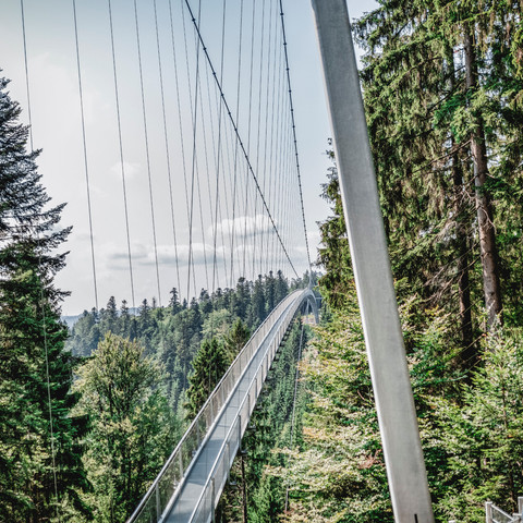 Wildline Haengebruecke Bad Wildbad Bogen Wildline Haengebruecke Bad Wildbad Bogen