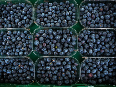 Wochenmarkt Schüttorf - Januar 2026 -48.jpg