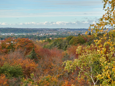 Blick vom Hohen Stein nach Meißen