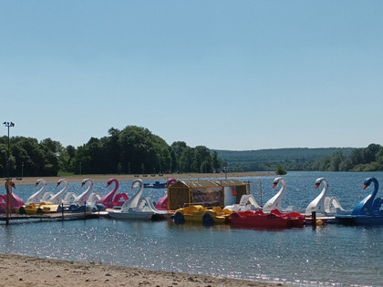 Bootsvermietung_Salzgittersee_HD_16zu9.jpg Bunte Tretboote und Schwanenboote an einem Steg am Strand des blauen Salzgittersees.