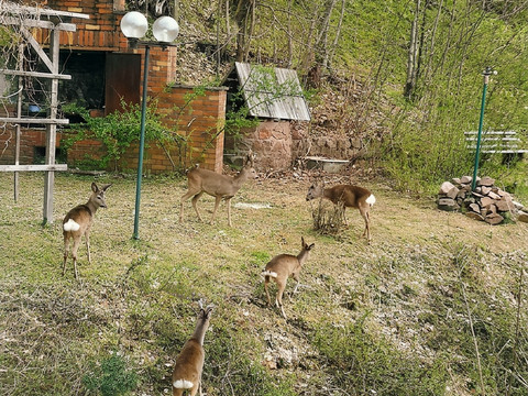 Besucher am Haus