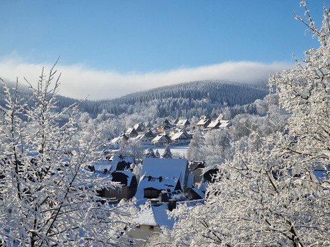 Blick aus dem Haus im Winter