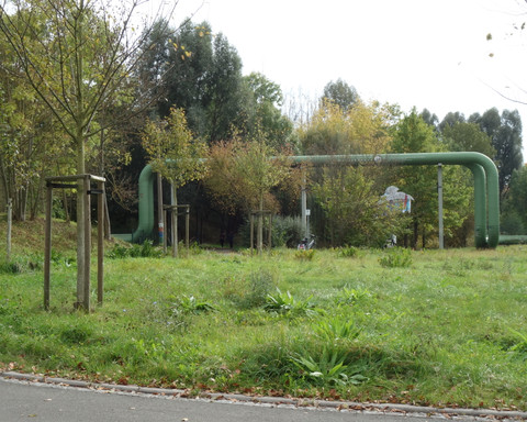 DSC03179.JPG
