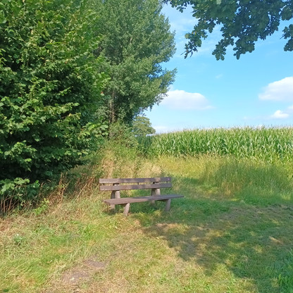 Sitzbank am Rundweg Tensfelder Au_Foto von Sebastian Misgajski.jpg