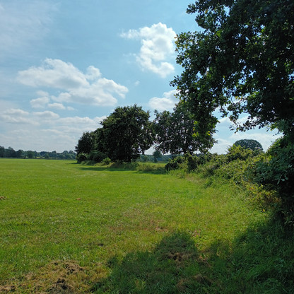 Felder an der Tensfelder Au_Foto von Sebastian Misgajski.jpg