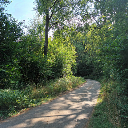 Wanderweg nach Tensfeld_Foto von Sebastian Misgajski.jpg