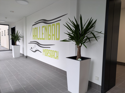 Innenbereich Hallenbad Moderner Eingangsbereich des Hallenbads Morsbach mit Schriftzug und Grünpflanzen.
