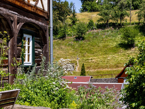 Blick ins Grüne vom großen Hof