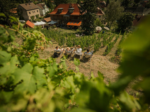Blick auf das Weingut Mariaberg
