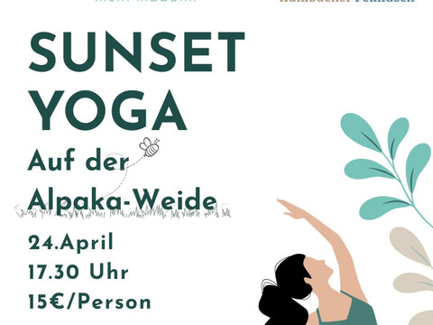 Flyer Sunset Yoga Plakat zu Sunset Yoga auf der Alpakaweide mit Termin, Preis und illustrativer Yogafigur