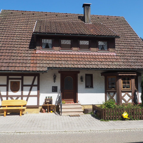 AlteSchmiedeHausansichtLutzLink1