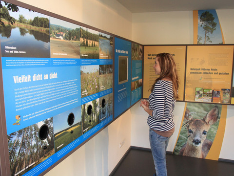 Interaktive Ausstellung im NaturparkHaus Dübener Heide