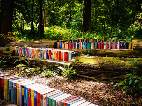 Lichtung im Waldkurpark - Vom Baum zum Buch