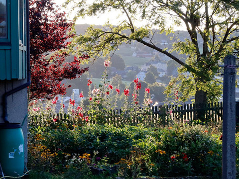 Garten2