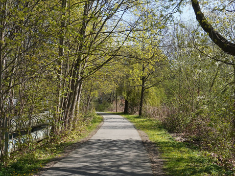 Chemnitztalradweg Chemnitz in Richtung Bunter Schornstein (Lulatsch)