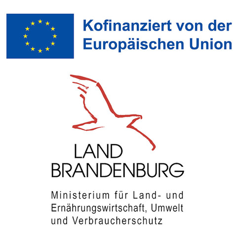 ILB-Logo.jpg