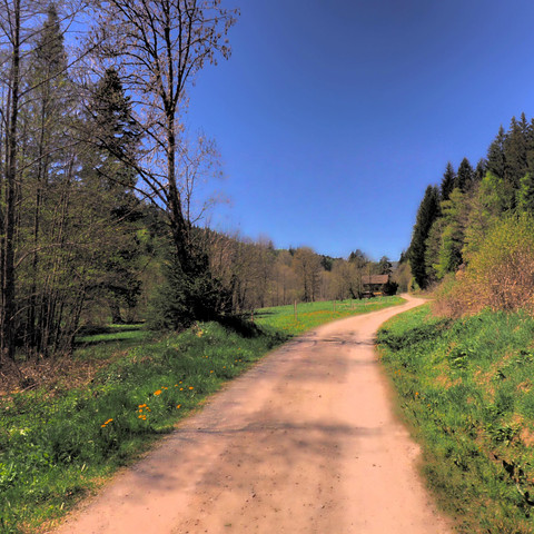 AlteSchmiedeUmgebungSommerLutzLink6