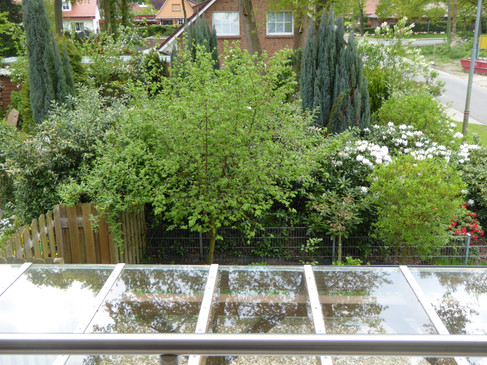 Gartenblick.jpg