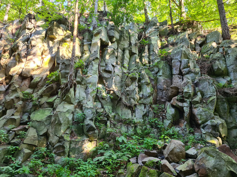 Geotop Basaltbruch "Ascherhübel"