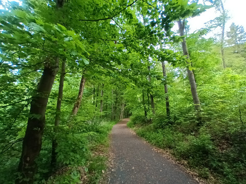unterwegs im LSG Syratal